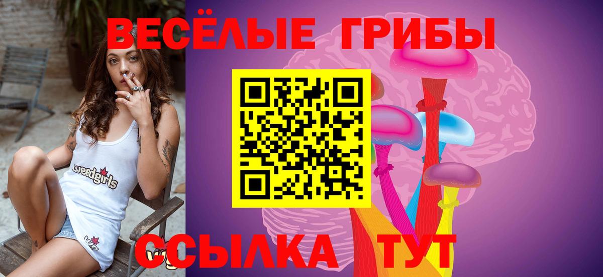 Галлюциногенные грибы Magic Shrooms  Вход с VPN  Псилоцибиновые грибы прущие грибы  Избербаш 
